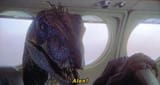 in-defence-of-the-talking-raptor-v0-zpjkyms1i07e1
