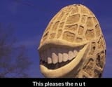 1744550078842641