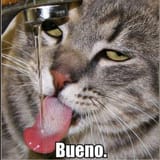 bueno