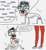 simp dog incel