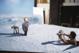 esb hoth
