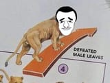 defeated