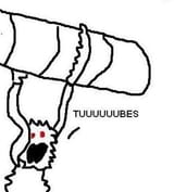 TUUUUUUUBES