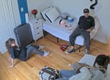 fnle
