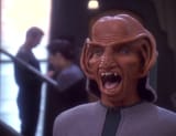 Rom-ferengi-9330715-692-530