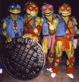 Turtles Teenage Mutant Ninja Coming out of their shells