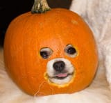1724742030280812