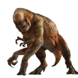 tR2PzTPz6V2DlJskozyQAwQcNqXRfSVqgZ7EoerKnh56O8N325VkG0q9aEHdfUN0VclmXip3NhbWlAGIhp8fUw-ezgif.com-webp-to-jpg-converter