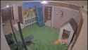 summerdoghouse_thumb.jpg