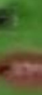 1720703969236654