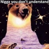 nigga you dont understand