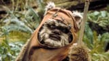 Wicket