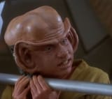 Nog