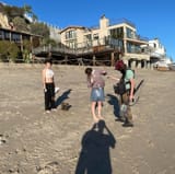 Cailee Spaeny beach