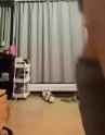 1703010397984100_thumb.jpg