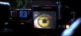 voight-sneed test gif