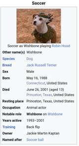 Soccer death