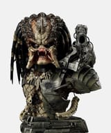 pbpr-02_face[1]