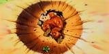 Yamcha-Dragon-Ball-Death