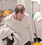 bald ben