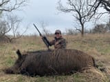 Hog-Hunting-