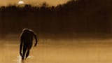 boggy creek