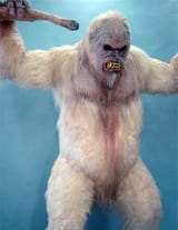 Yeti_22