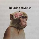 1746034083082557