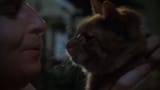 Shield 3x11 - Strays.mp4_snapshot_45.17.089