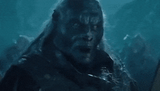orc piknik