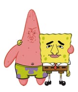 sponge