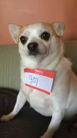 1555876175041