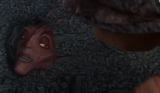 bugs life
