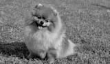 MV5BMTU0NWUxYTUtZGEyYy00YjZjLWFmMTktODgzYTc5OTBkNTdjXkEyXkFqcGc@._V1_