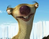 sloth