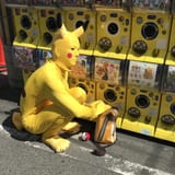 pika bee