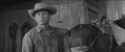 Starring Charles Bronson_thumb.jpg