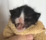 1000030009