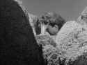 Yellow_Sky_(1948)_Jesse_James_Bond_thumb.jpg