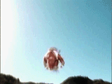 tumblr_mhytlihckA1s1popdo1_500