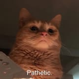 1724871461491381