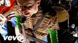 Toadies