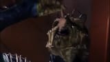 reptile eating mice