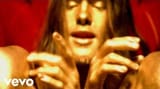 ShannonHoon