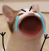 GCevJk3XwAAqbWj