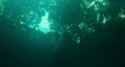 Deep Water (2022) _thumb.jpg
