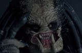 scar-predator-cheeks