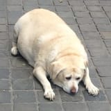 1693502249811759
