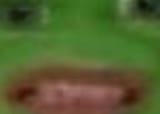 1725888156956070