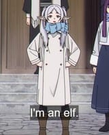 1753847789859639 me elf